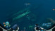 Игра Subnautica: Below Zero [PS5, русские субтитры] в Энгельсе