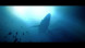 Игра Under The Waves [PS4, русские субтитры] в Энгельсе