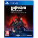 Игра Wolfenstein Youngblood Deluxe Edition [PS4, русская версия] в Энгельсе